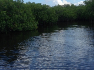 28AUG Everglades 4