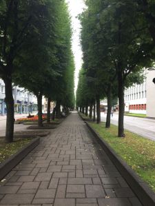 Shopping street in Kaunas